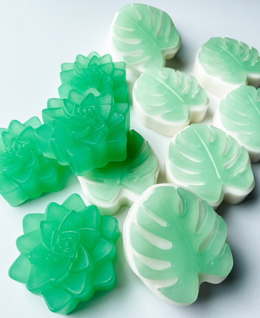Monstera Leaf & Succulent Soap Bars