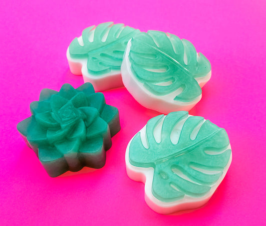 Monstera Leaf & Succulent Soap Bars